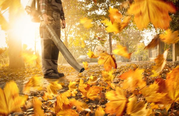 Leaf Blowing Service in San Clemente