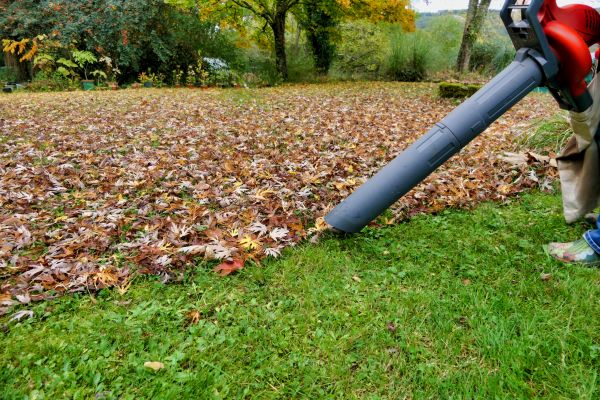Leaf Vacuuming Service in San Clemente