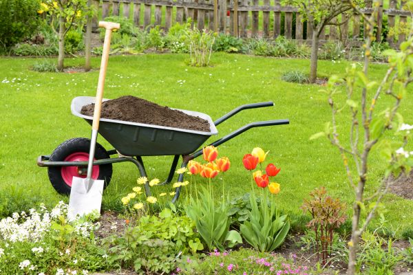 Spring Yard Cleanup in San Clemente
