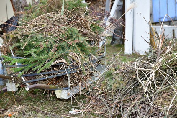 Yard Waste Removal Service in San Clemente