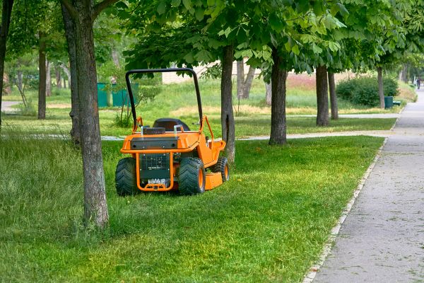 Landscaping Cleanup Service in San Clemente