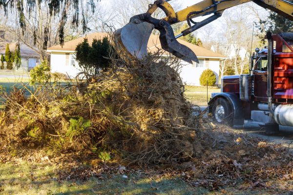 Storm Debris Removal in San Clemente