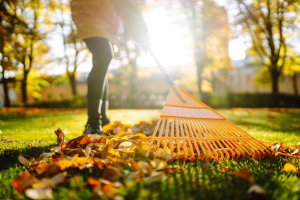 Leaves Raking in San Clemente