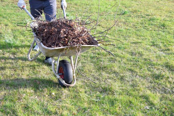 Yard Brush Removal in San Clemente