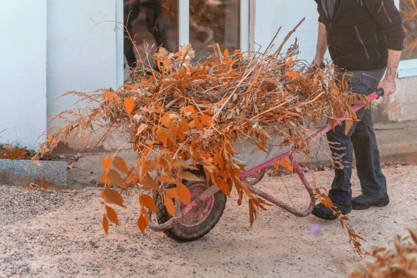 Cost of Lawn Debris Cleanup in San Clemente