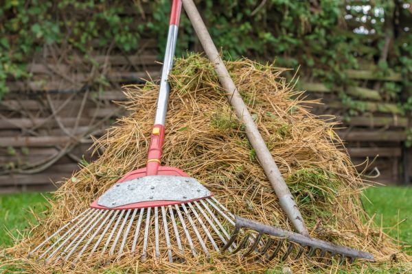 Pine Straw Clearing in San Clemente