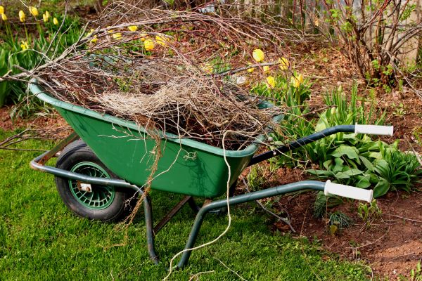 Lawn Waste Removal in San Clemente