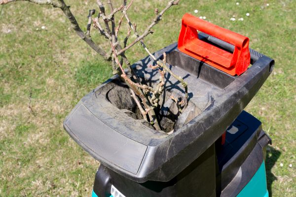 Cost of Brush Cleanup Service in San Clemente