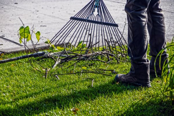 Yard Debris Cleanup in San Clemente