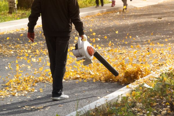 Commercial Leaf Removal in San Clemente