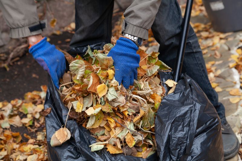 Leaf Collection Bin